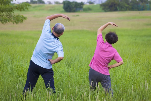 Senior couple doing gymnastics in the park.healthy concept — Stock Photo, Image