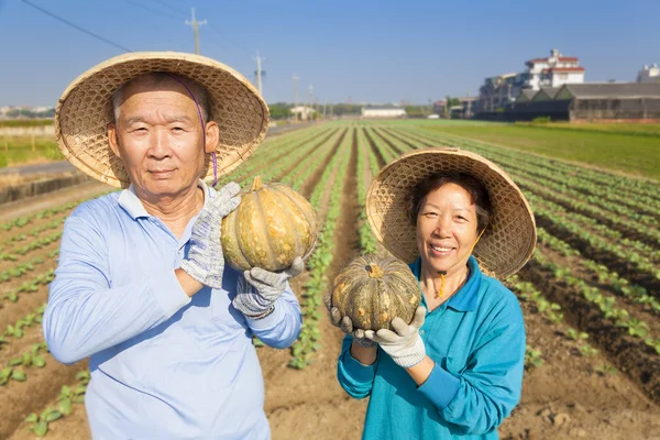 Asiático senior pareja agricultor holding calabaza en su granja — Foto de Stock