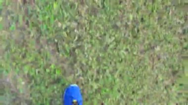 Çim Park'ta jogging runner