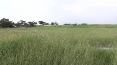 Vídeos de stock de Parque, vídeos sin royalties de Parque | Depositphotos®