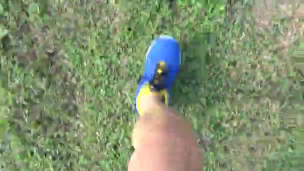 Coureur jogging sur l'herbe dans le parc — Video