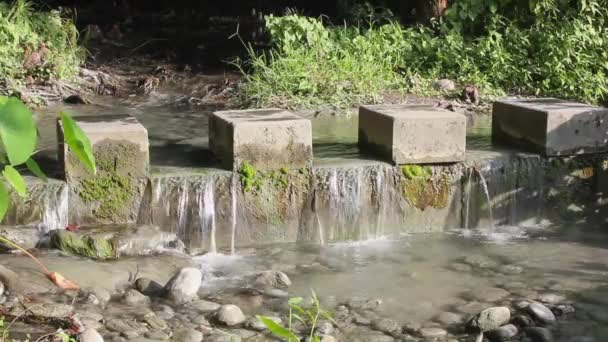 Acqua che scorre, sassi ed erba sul fiume . — Video Stock