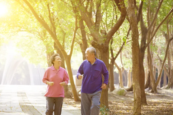 Pareja de ancianos haciendo ejercicio en el parque —  Fotos de Stock