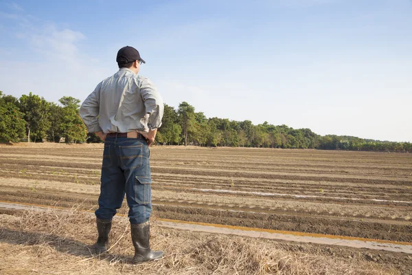Фермер, стоящий на сельскохозяйственных землях — стоковое фото