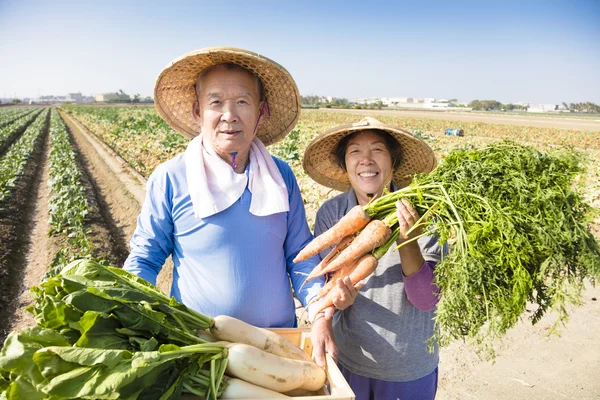 Feliz adulto mayor pareja agricultor con un montón de zanahorias en la mano — Foto de Stock