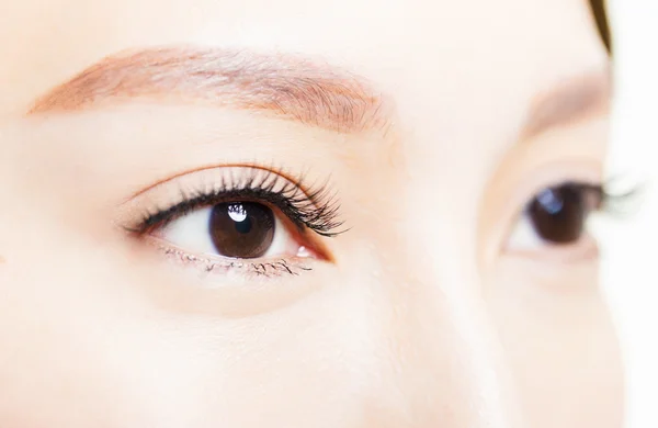 Closeup shot of young beautiful woman eyes — Stock Photo, Image