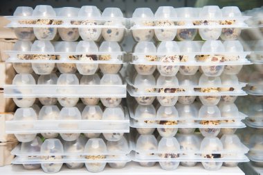 Bıldırcın yumurtası süpermarket üzerinde