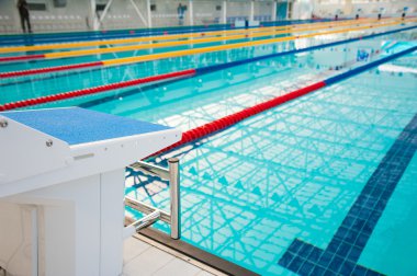 Yüzme havuzunda izlemek