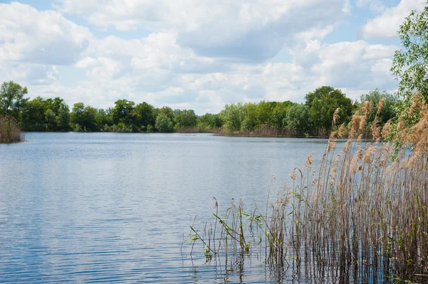 Paesaggio estivo sulla riva del fiume — Foto Stock