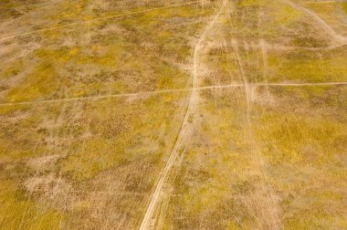 Bir yaz günü çayırların ve tarlaların havadan görünüşü