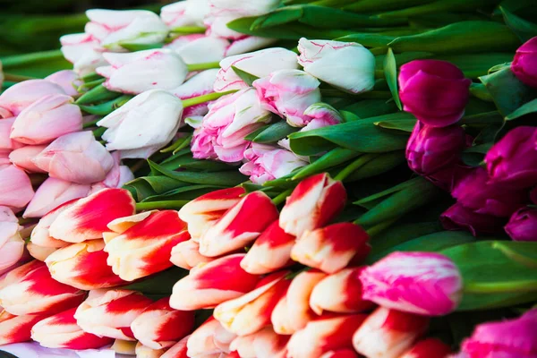 Flower market. Selling flowers. Bouquets of colorful tulips