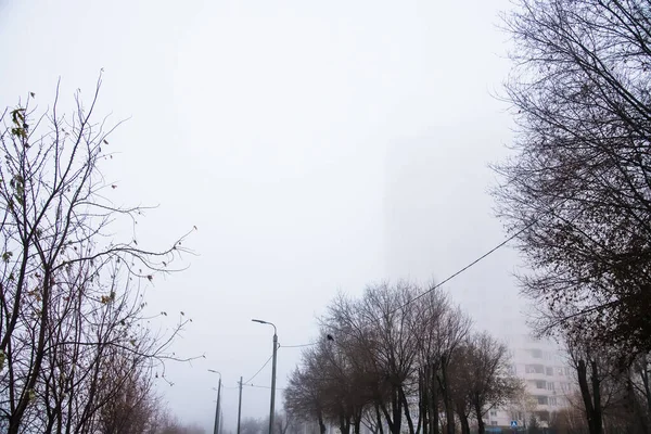 Дощова Осінь Міському Парку Пейзаж Туман Листя Підстилки Сезон — стокове фото