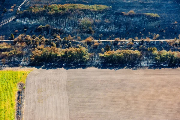 Yangından Sonra Kavrulmuş Ağaçlar Çimenler Hava Görüntüsü Peyzaj — Stok fotoğraf