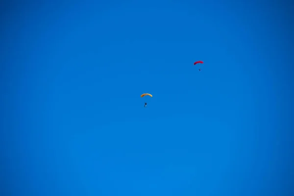 青空を背景にパラシューティスト スカイダイビング競技会 — ストック写真