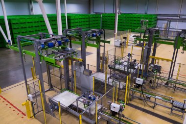 Meyve ve sebze tasnif, işleme ve depolama için modern otomatikleştirilmiş üretim. Yeni ekipman