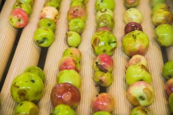 Production line for processing apples for the production of fresh juice. Food and healthy drinks concept