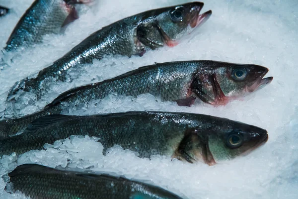 Frischer Fisch Liegt Eis Damit Nicht Verdirbt — Stockfoto