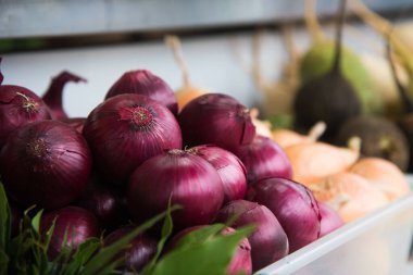 Kırmızı soğanlar diğer soğan ve bitki çeşitleri arasında kutularda saklanır.