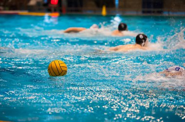 Yüzme havuzunda su topu hareketi