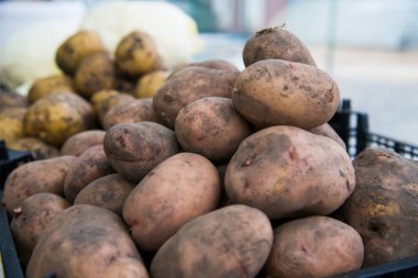 Farklı türde patatesler farklı plastik kutularda saklanır.