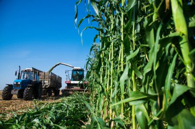 Tarımsal makinelerin yardımıyla tarla temizliği ve hasat