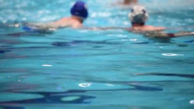 Yüzme havuzunda spor müsabakaları. Su Polosu Maçı