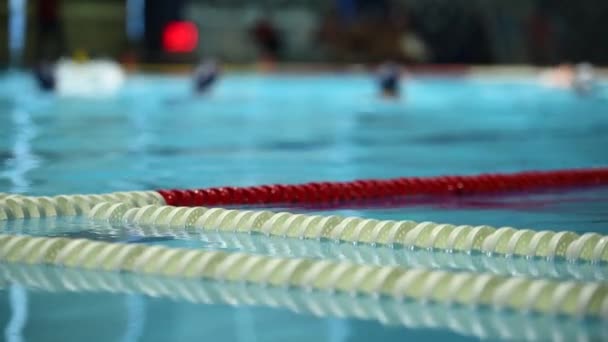 Swimming Pool Lanes Lane Divider Pool Marker Lines Line Dividers — Stock Video