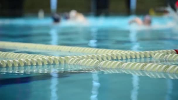 Swimming Pool Lanes Lane Divider Pool Markørlinier Linjeadskillere Pulje – Stock-video