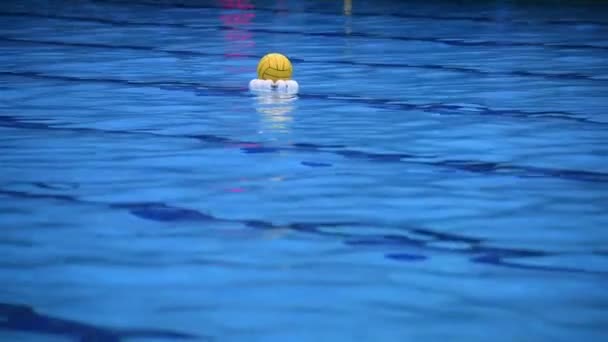 Спортивные Соревнования Бассейне Водное Поло — стоковое видео