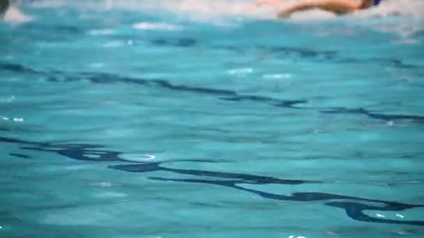 Competizioni Sportive Piscina Partita Pallanuoto — Video Stock