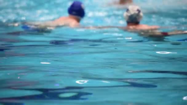 Competiciones Deportivas Piscina Polo Acuático Partido — Vídeo de stock