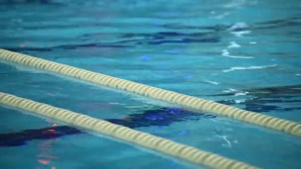 Piscina Lanes Divizorul Benzii Liniile Marcare Piscinei Linie Separatoare Piscină — Videoclip de stoc