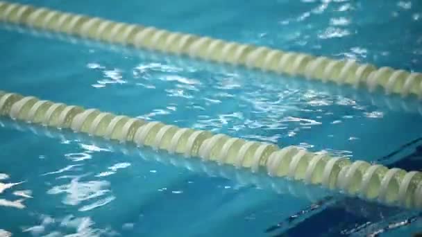 Piscinas Lanes Divisor Carril Líneas Marcadores Piscina Línea Divisores Piscina — Vídeo de stock