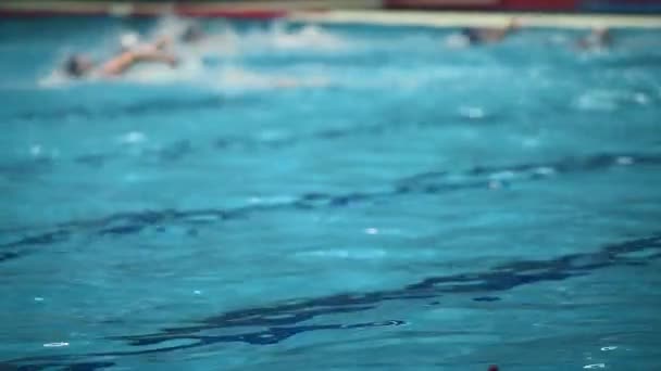 Competiciones Deportivas Piscina Polo Acuático Partido — Vídeo de stock