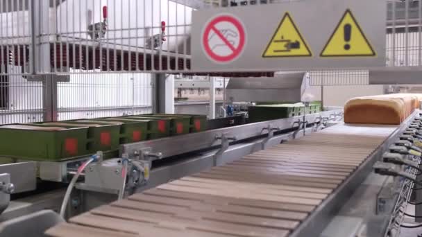 Otomatik Taşıma Bandındaki Fırında Ekmek Somunları — Stok video