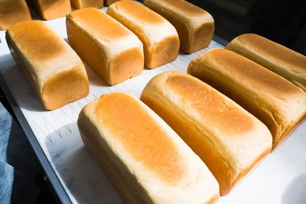 Broodbeladen Een Bakkerij Een Geautomatiseerde Transportband Voedselindustrie — Stockfoto