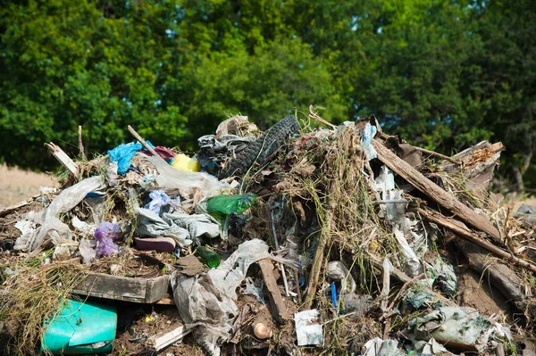 Aterro Lixo Doméstico Entre Árvores Verdes Que Polui Meio Ambiente — Fotografia de Stock