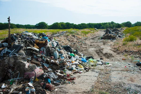 Aterro Lixo Doméstico Entre Árvores Verdes Que Polui Meio Ambiente — Fotografia de Stock