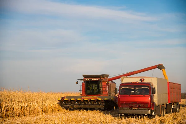 農業機械の助けを借りて畑で収穫 — ストック写真