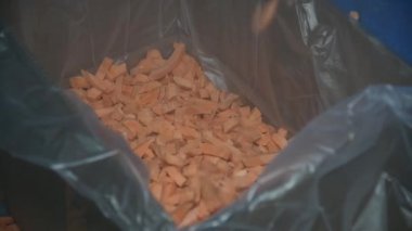 Carrot is cleaned, washed, dried and frozen for further storage. Industrial line for processing and storage of vegetables.