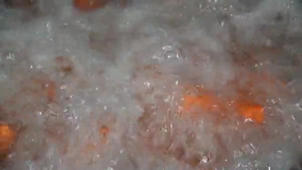 Carrot Cleaned Washed Dried Frozen Further Storage Industrial Line Processing — Stock videók