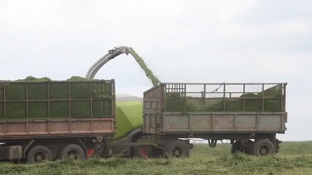 Czyszczenie Terenie Przy Pomocy Maszyn Rolniczych Zbieranie Plonów — Wideo stockowe