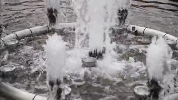 Jets Decorative Fountain City Park Close — Video Stock