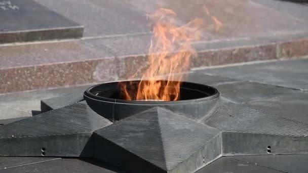 Eternal Flame Vid Memorial Till Fallit Defenders Fäderneslandet — Stockvideo