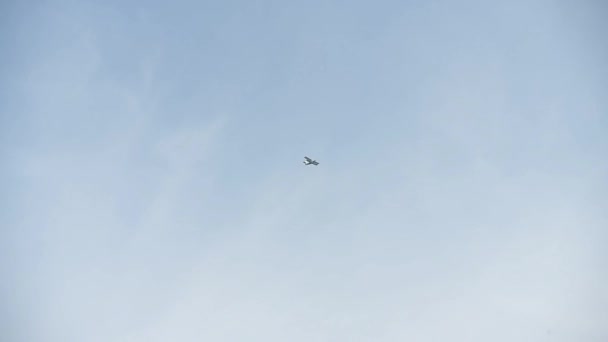 하늘의 배경에는 Parachutist 스카이다이빙 — 비디오
