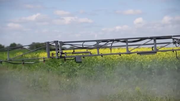 Processing Farmland Pests Tractor Sprays Protective Agent Locusts Field Blooming — Stock Video