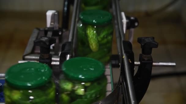 野菜の保存 キュウリの処理と保存のための産業ライン 新鮮なキュウリは洗浄され 酢漬けされ 長期保存用のガラス瓶に保存されます — ストック動画