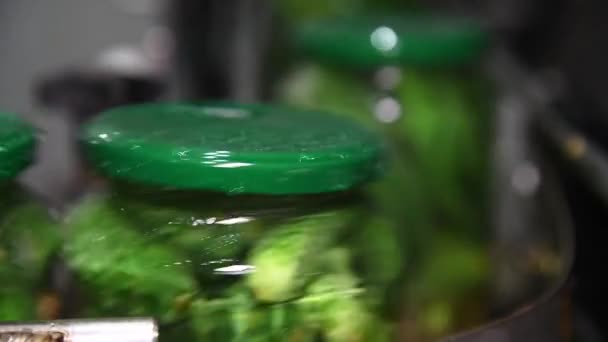 野菜の保存 キュウリの処理と保存のための産業ライン 新鮮なキュウリは洗浄され 酢漬けされ 長期保存用のガラス瓶に保存されます — ストック動画