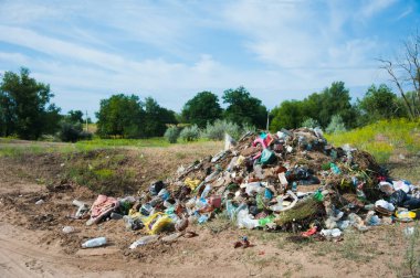 Çevreyi kirleten yeşil ağaçların arasındaki çöplük.