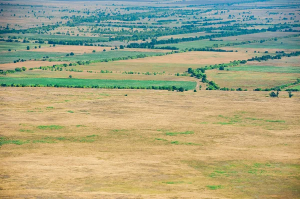 Вид Повітря Поля Луки Літній День — стокове фото